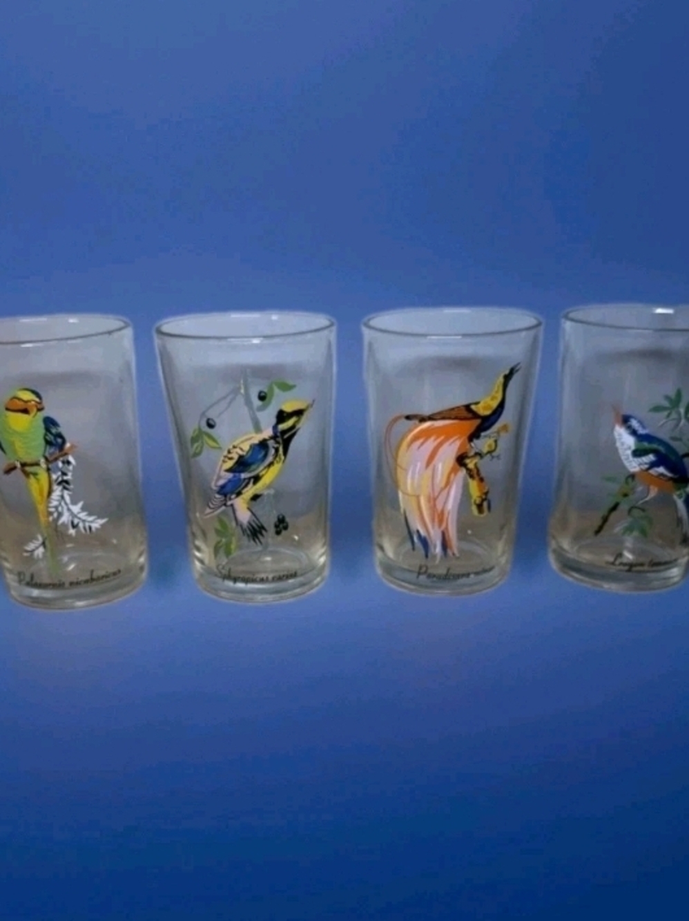 VINTAGE Crystal Emporium Bird Glasses Set 4 Tumblers Exotic Birds KIG Malaysia